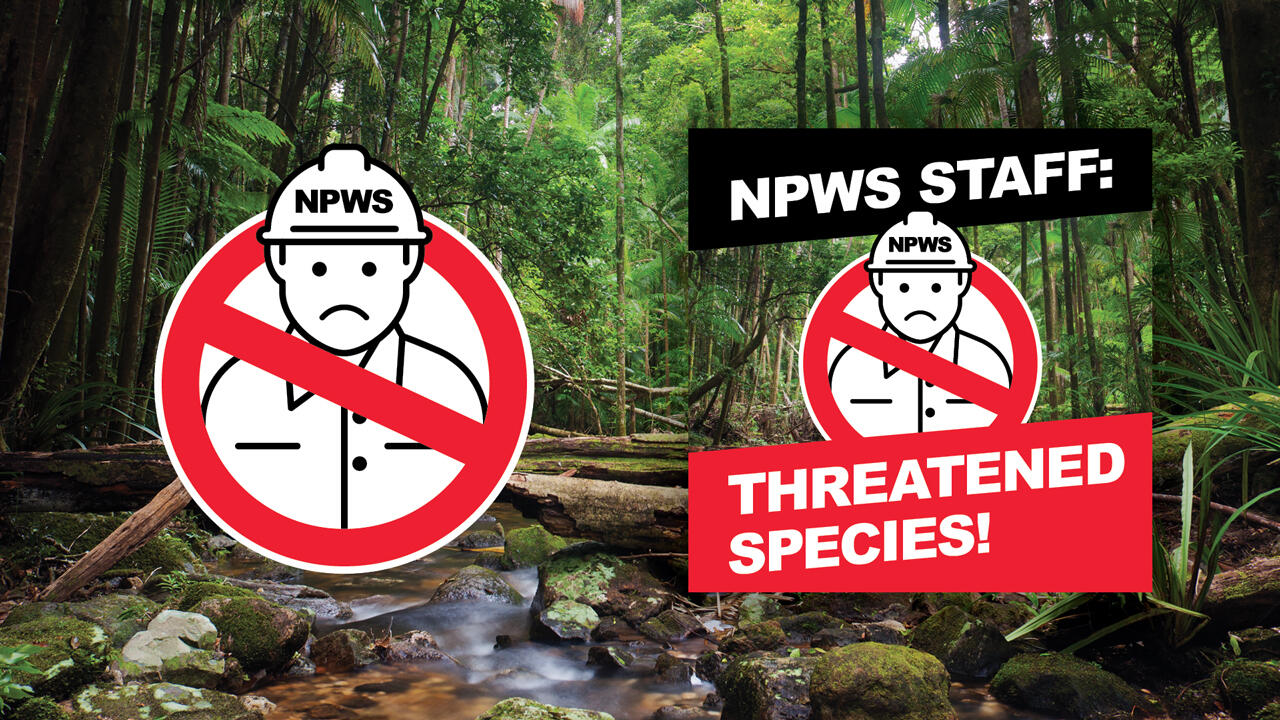 NPWS